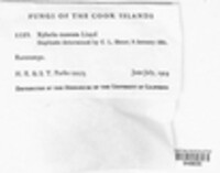 Image Associated With the Occurence
